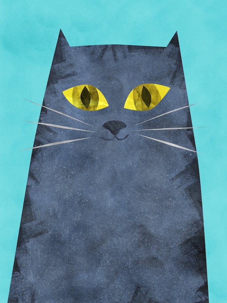 Tabby en