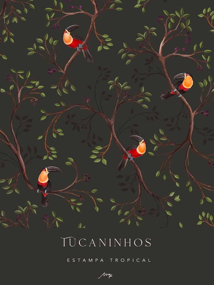 Tucaninhos Grafiti