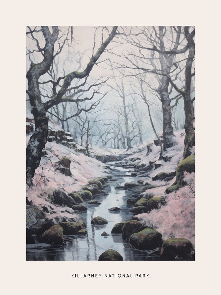Dreamy Winter National Park Poster  Killarney National Park Ireland 5