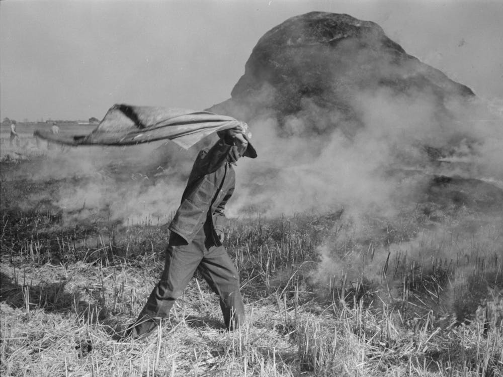Fighting Fire Of Rice Straw Stack In Rice Field Near Crowley, Louisiana By Russell Lee