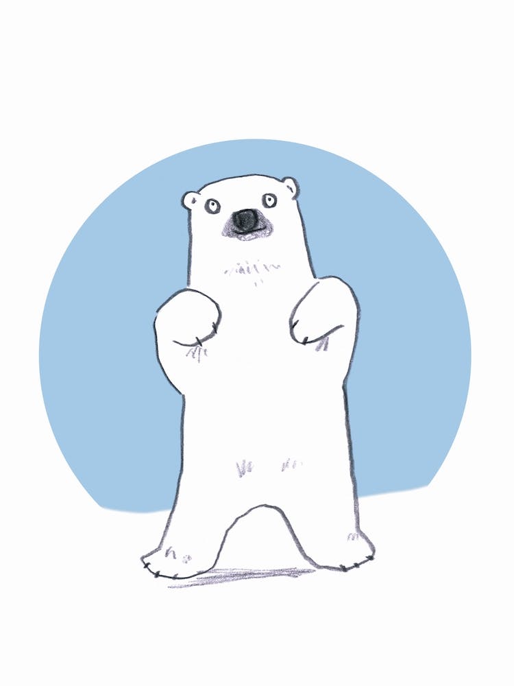 Polar Bear