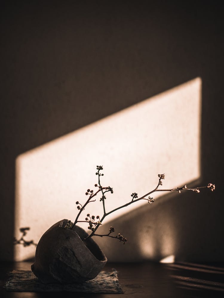 Ikebana