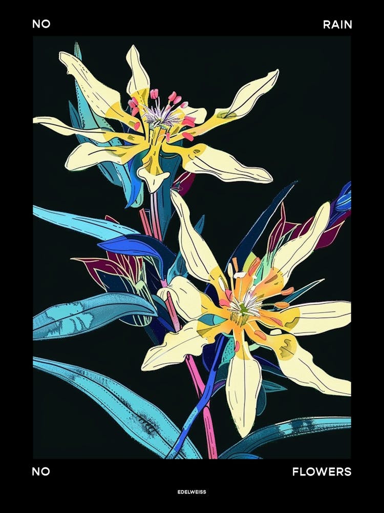 No Rain No Flowers Poster Edelweiss 3