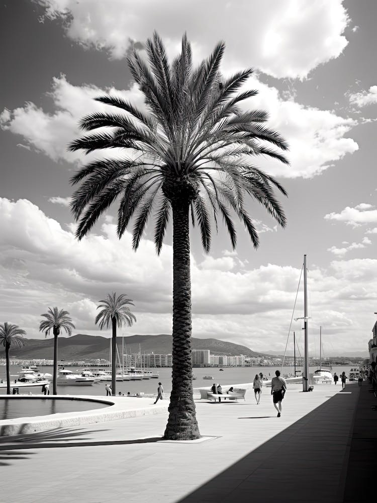 Palma De Mallorca, Spain, Photography In Black And White 1