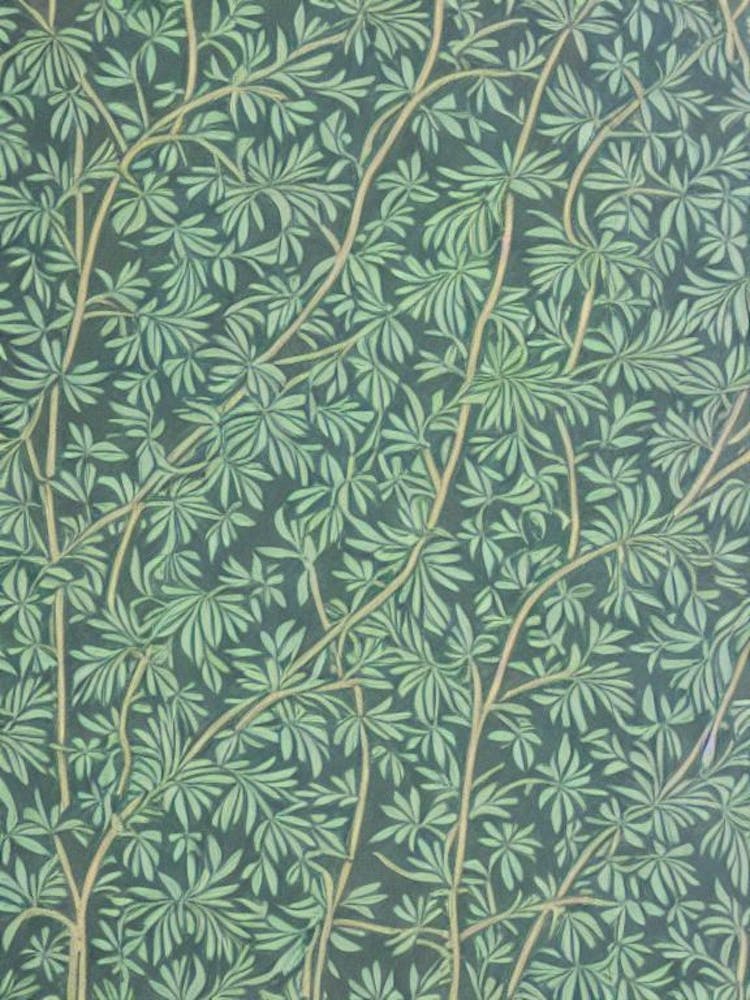 Hemlock 2 tree Vintage Botanical