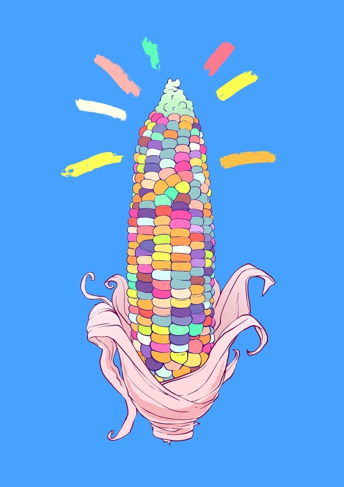 Rainbow Corn