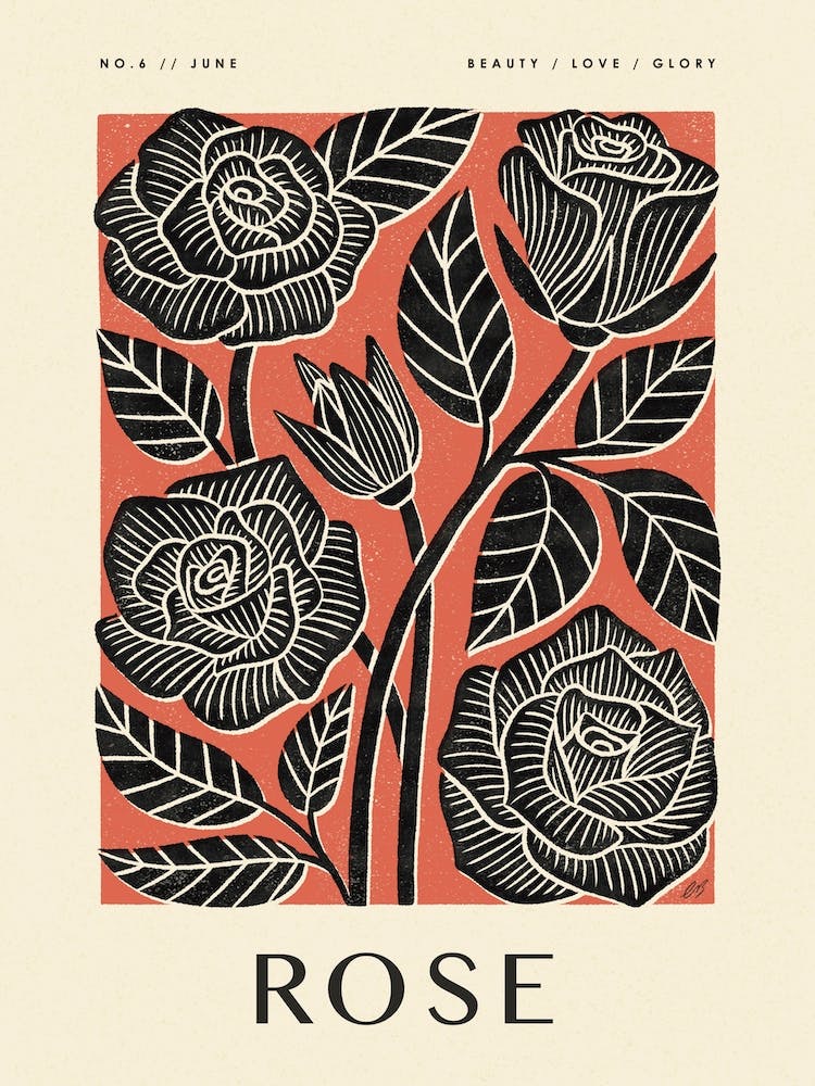 Rose Fleur de Naissance de Juin Rustique Noir Rouge