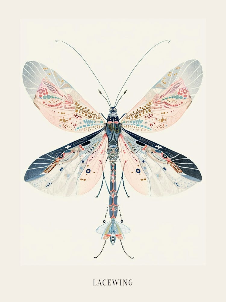 Farbenprächtige Insektenillustration Florfliege 16 – Poster