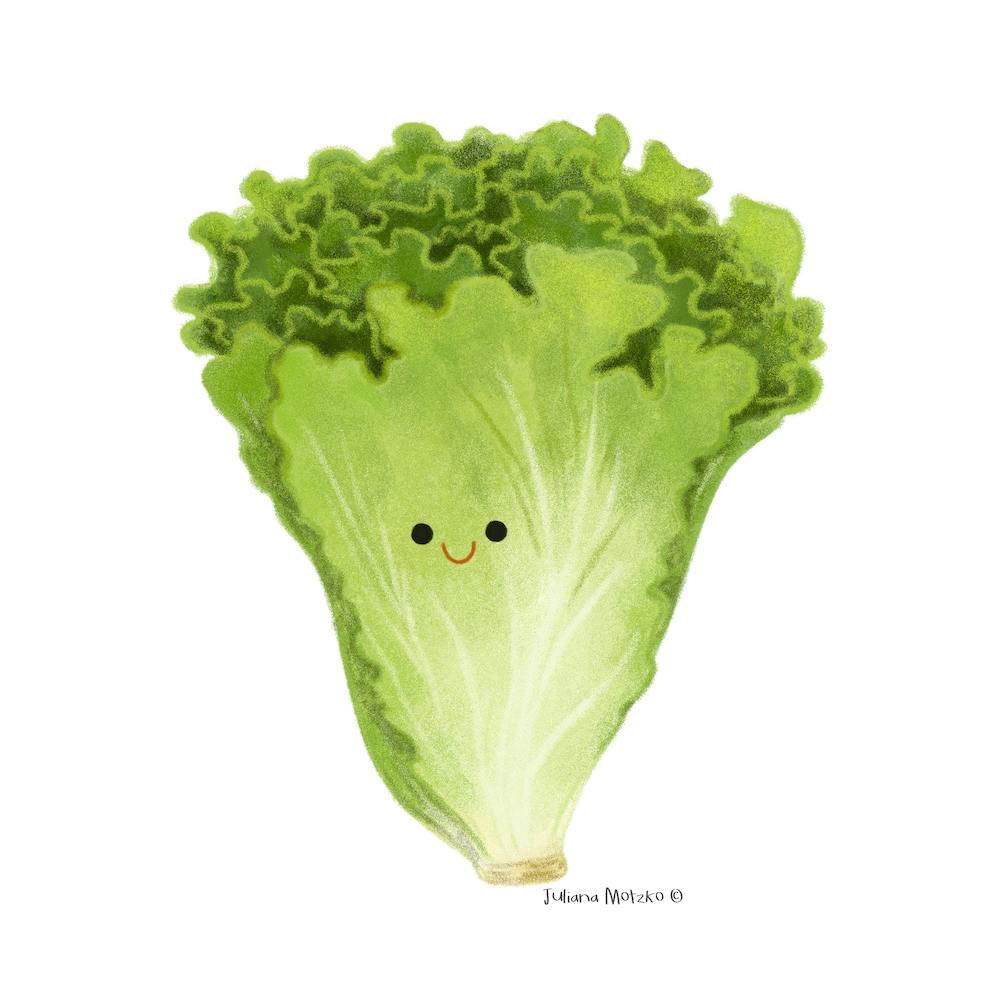 Kawaii Lettuce