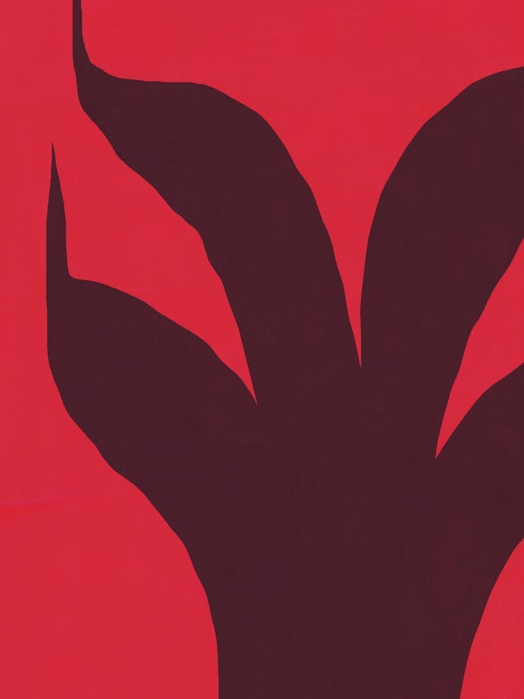 Aloe red