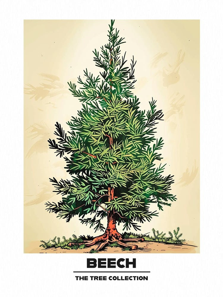 Beech Tree Storybook Illustration 2 Poster