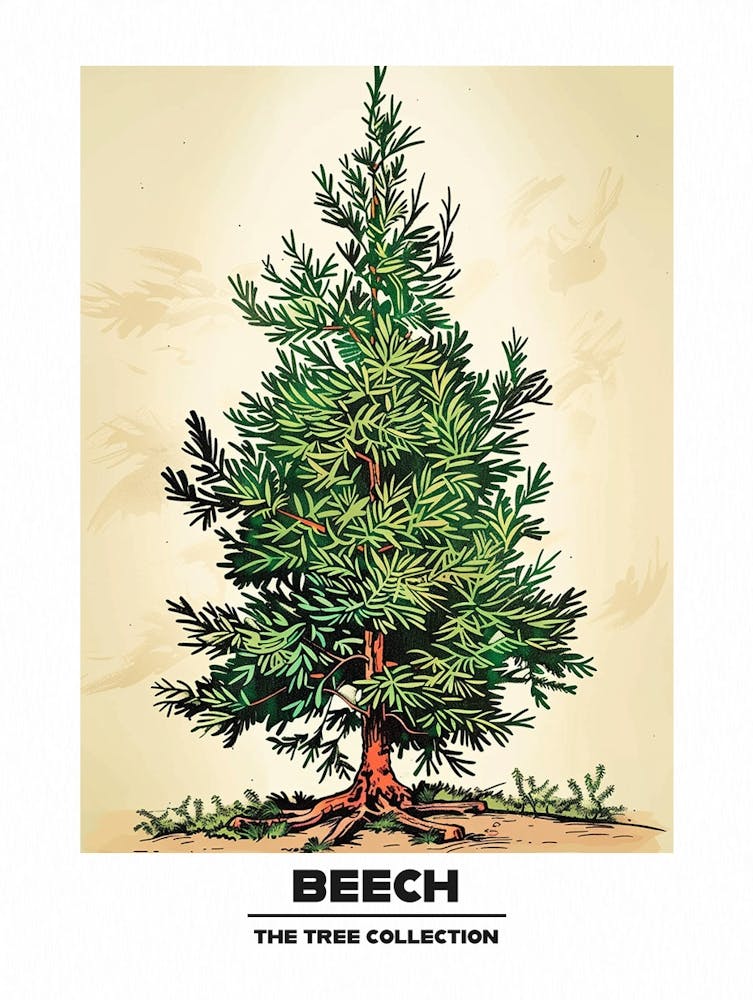 Beech Tree Storybook Illustration 2 Poster