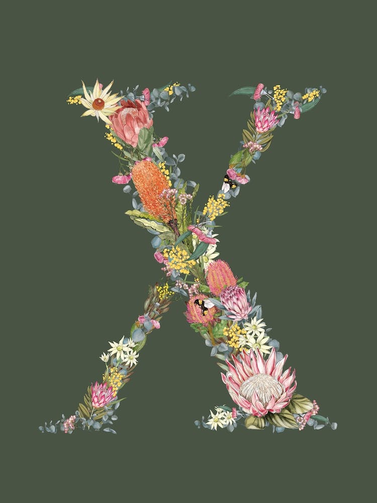 X Olive Alphabet Letter