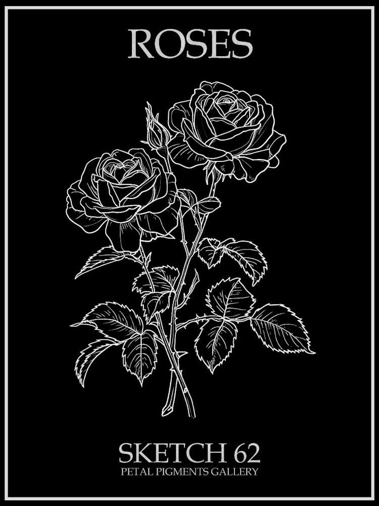 Roses Sketch 62 Poster Inverted