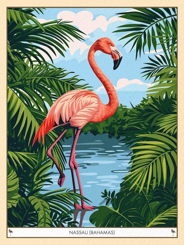 Greater Flamingo Nassau Bahamas Tropical Illustration 4 Poster