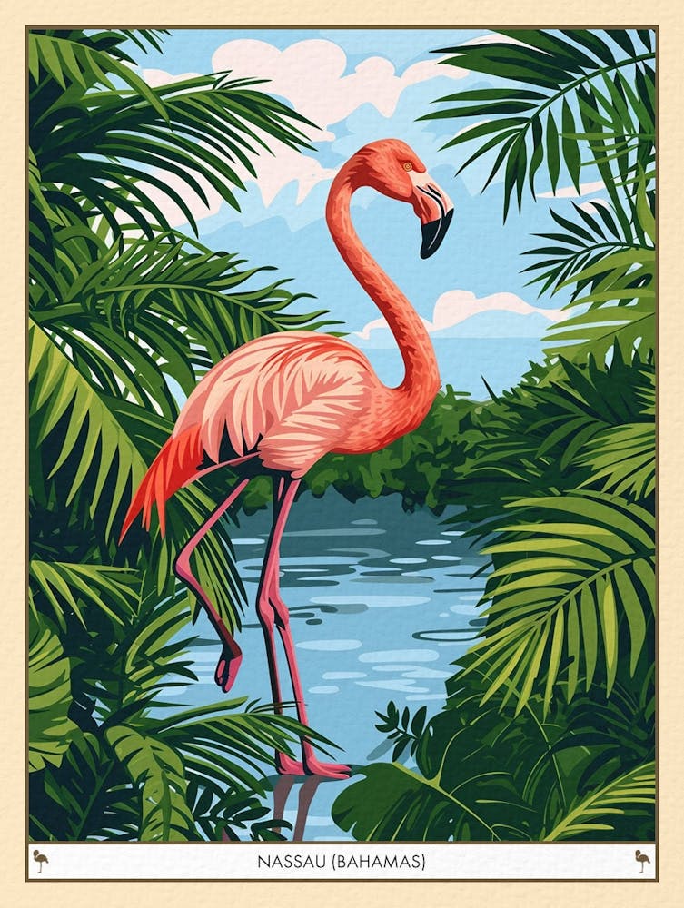Greater Flamingo Nassau Bahamas Tropical Illustration 4 Poster