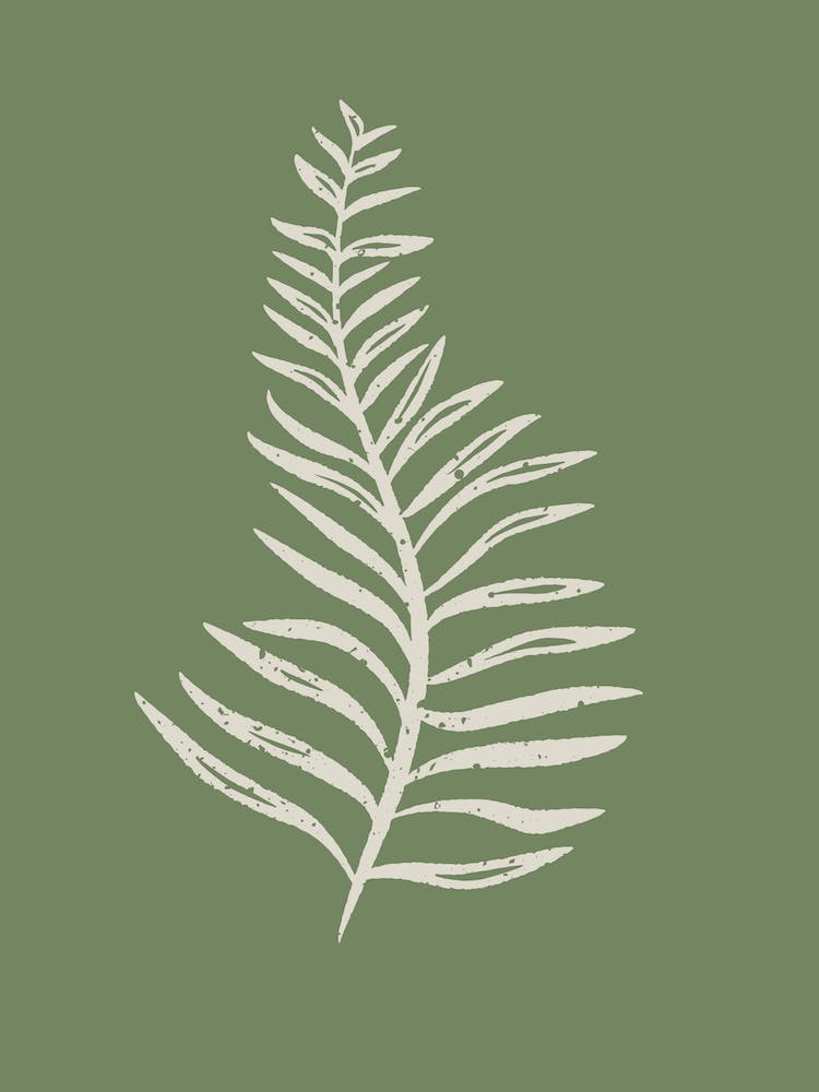 Botanical Style Fern Leaf