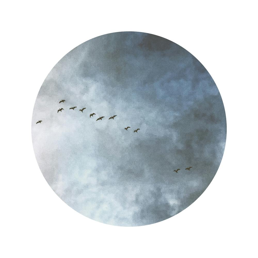 Birds In Flight Square