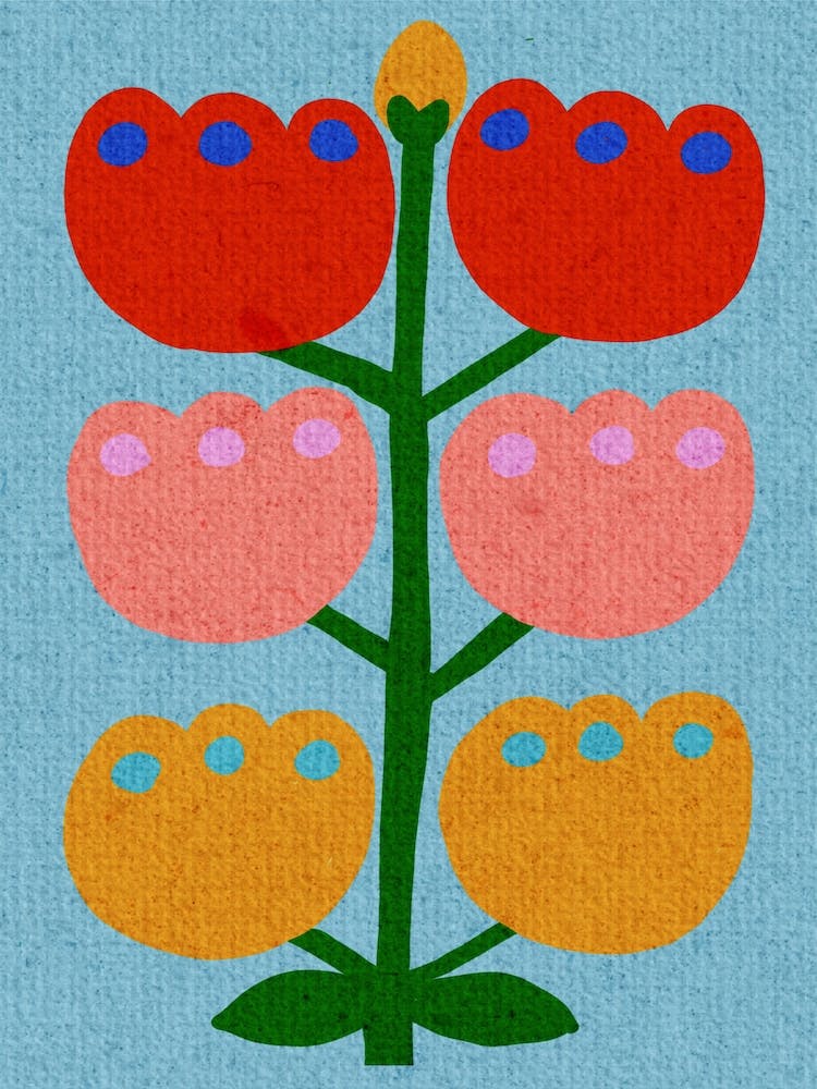 Tulips