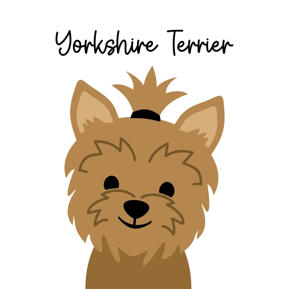 Yorkshire Terrier