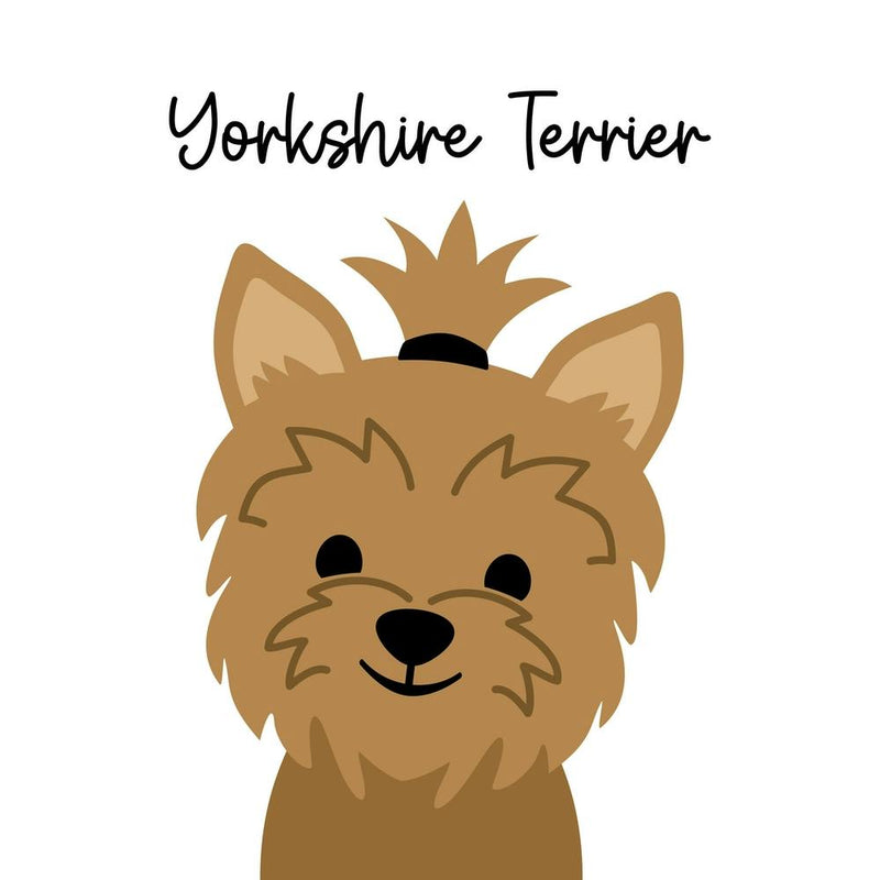 Yorkshire Terrier