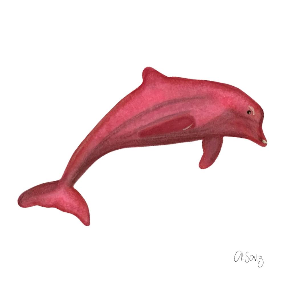 Pink Dolphin.