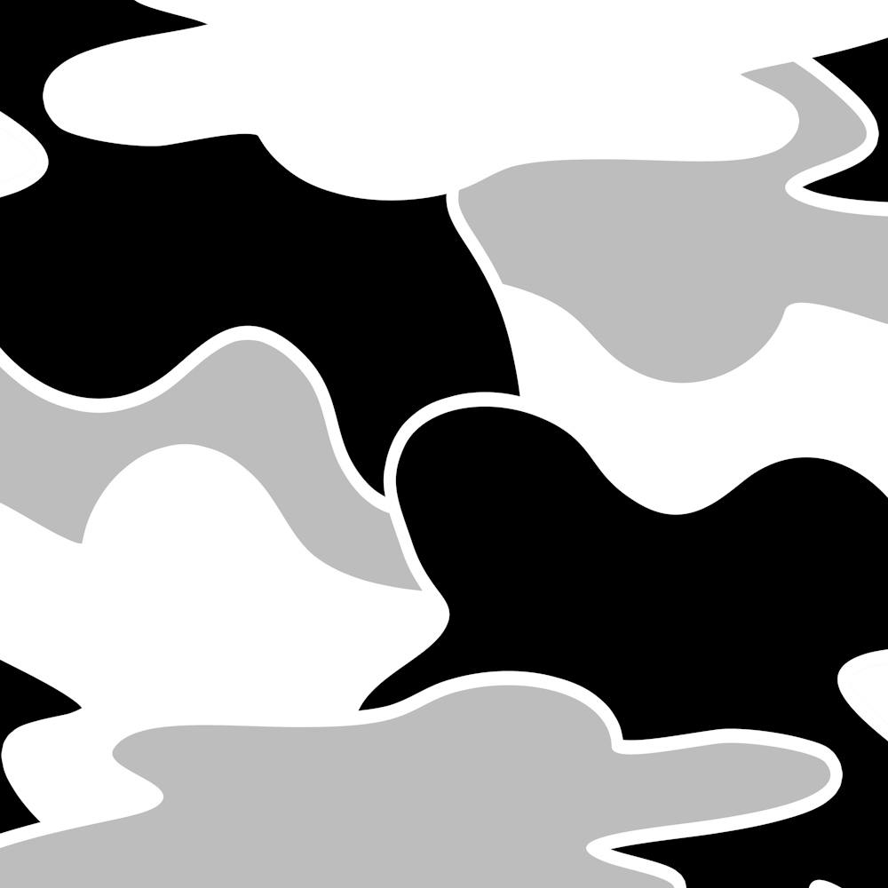 Black And White Camouflage