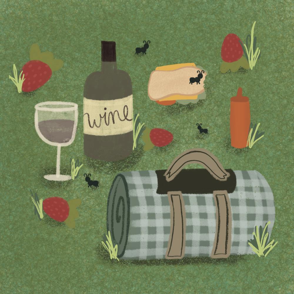 Picnic In The Park