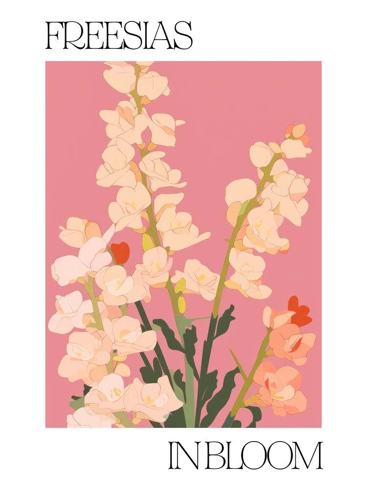 Freesias In Bloom Flowers Bold Illustration 1