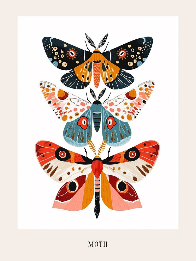 Colourful Insect Illustration Moth 31 Poster