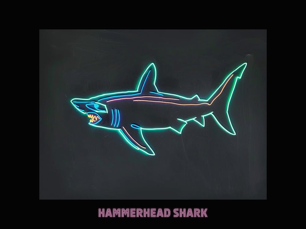 Pink Aqua Hammerhead Shark Poster 1