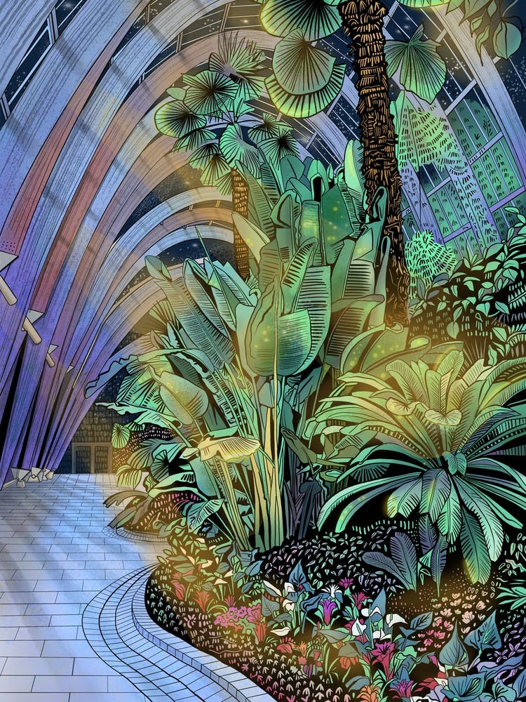 Sheffield Winter Gardens Night