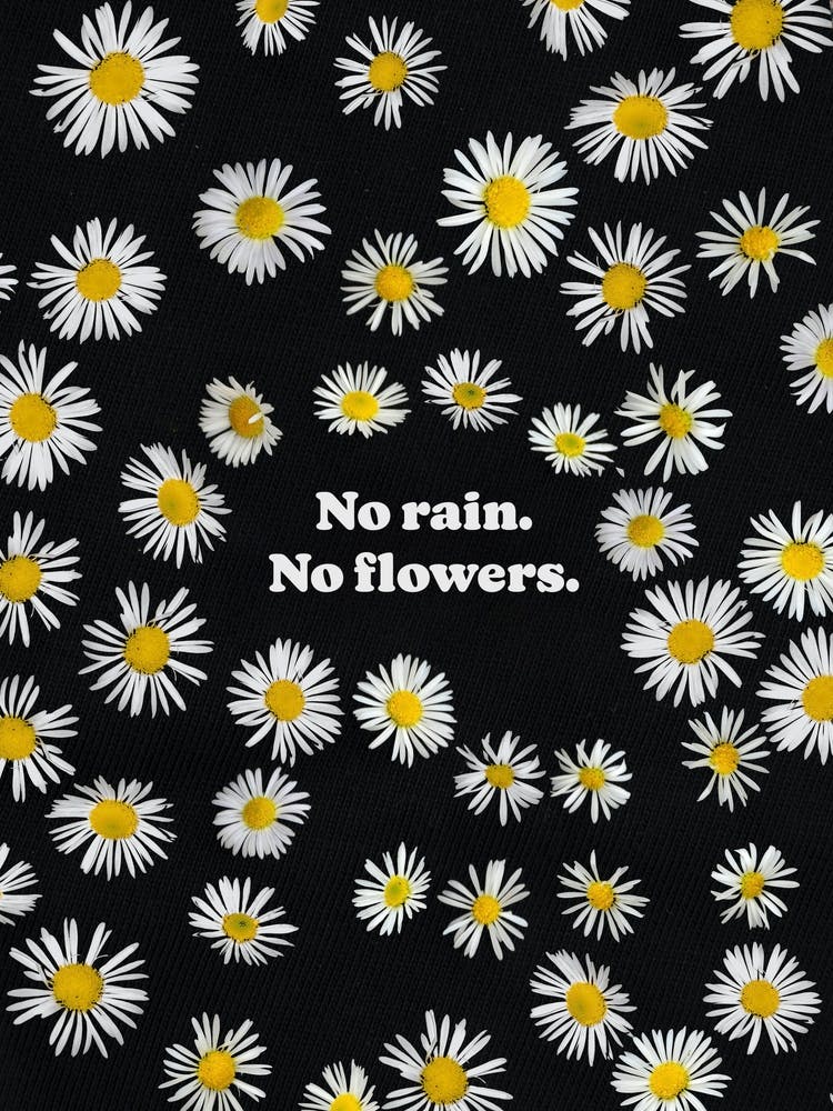 No Rain - No flowers - Gallery Wall