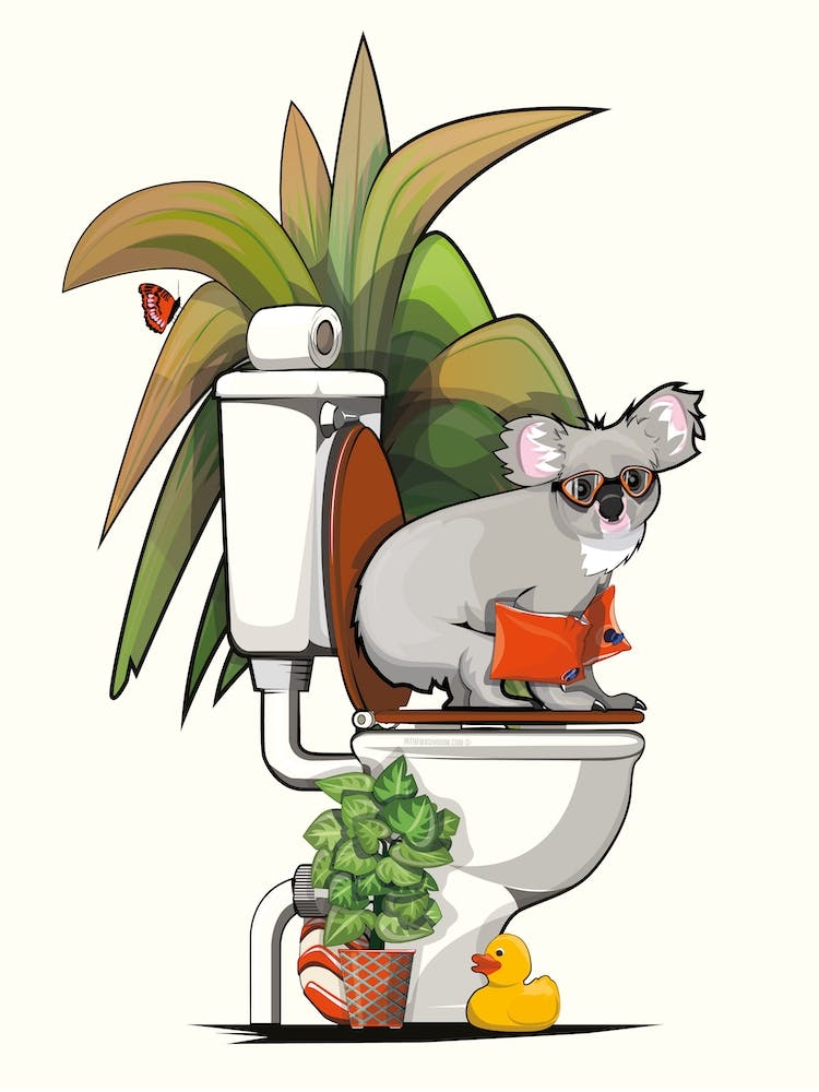 Koalabär auf der Toilette
