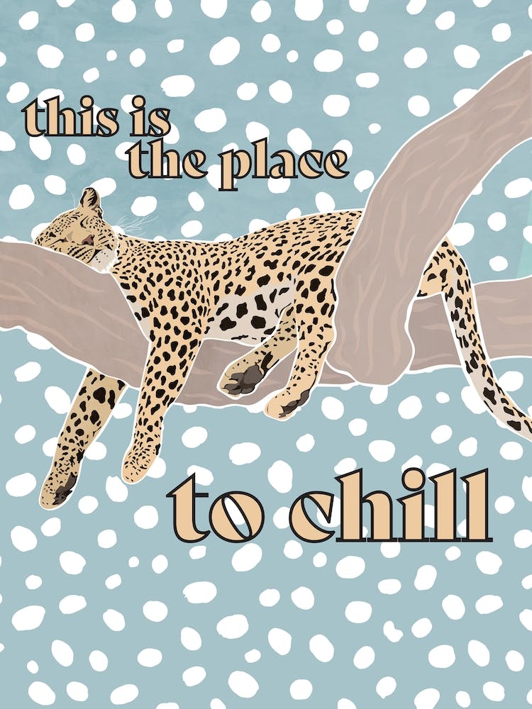 This Is The Place To Chill