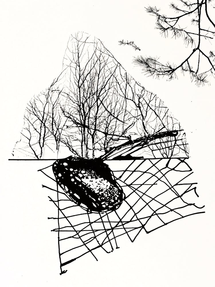 Bird In A Tree