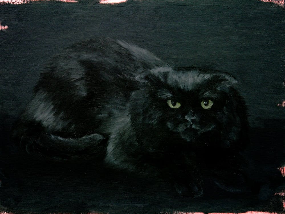 Black Cat