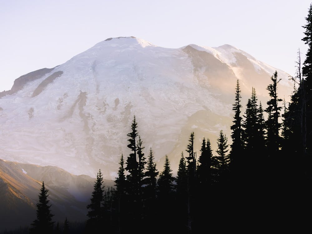 Mount Rainier At Sunset