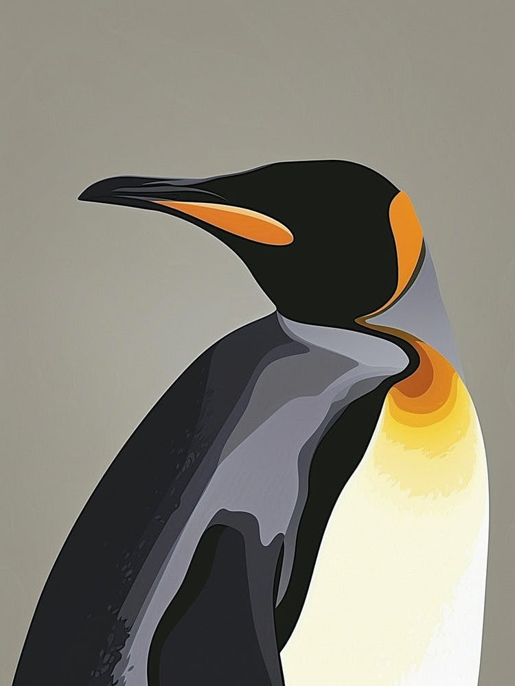 King Penguin Petermann Island Minimalist Illustration 1