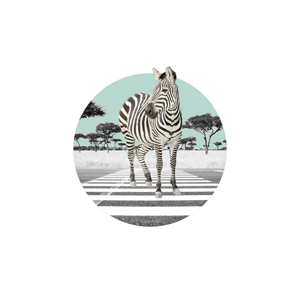Zebra Collage Square