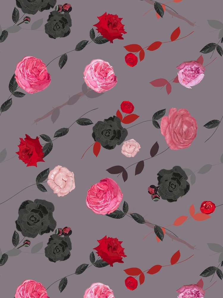 Pink Red Peony