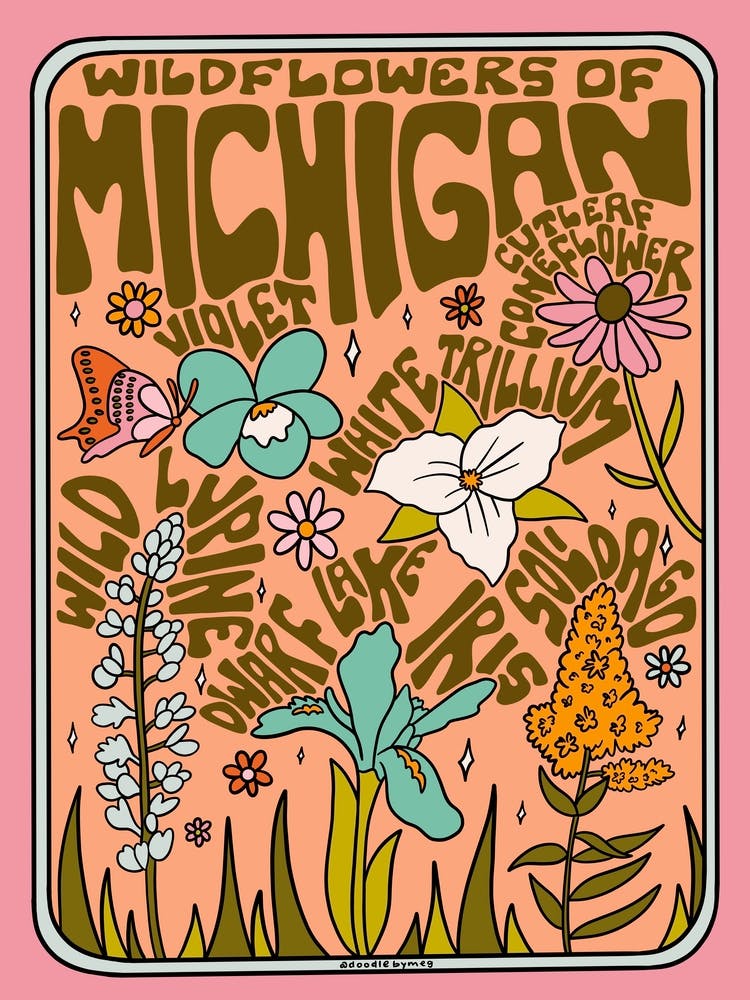 Michigan Wildflowers