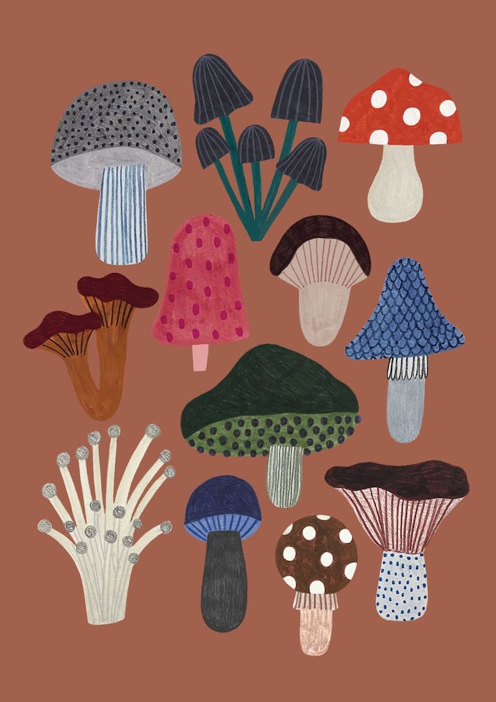 Mushrooms