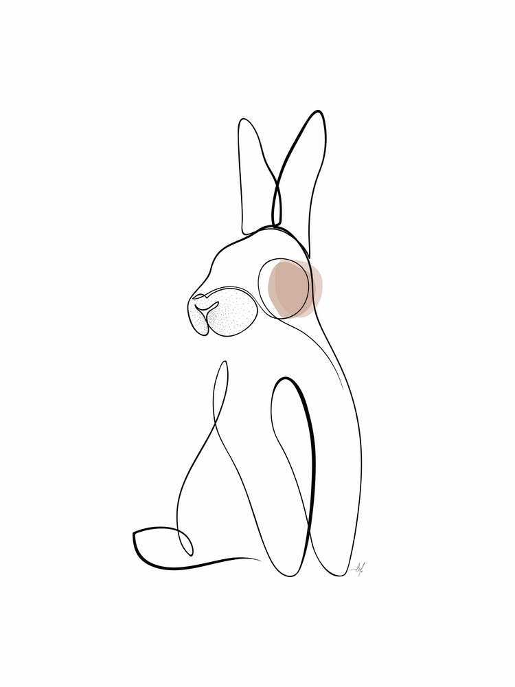 Rabbit