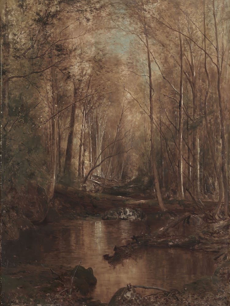 Stream In The Woods