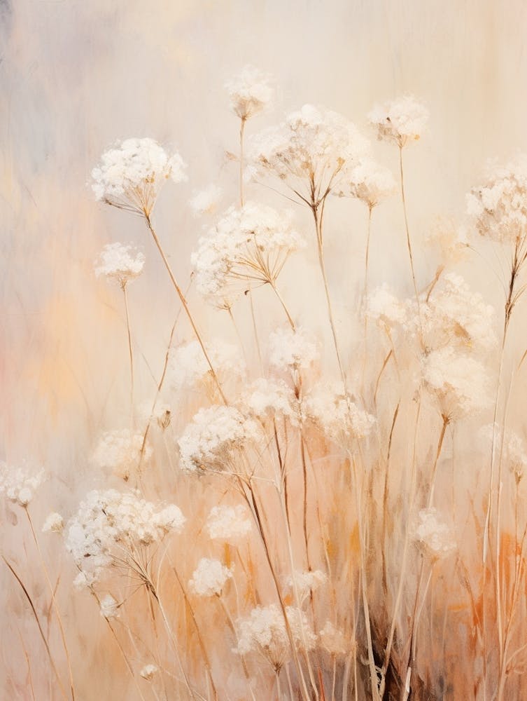 Boho Dried Flowers Queen Annes Lace 10