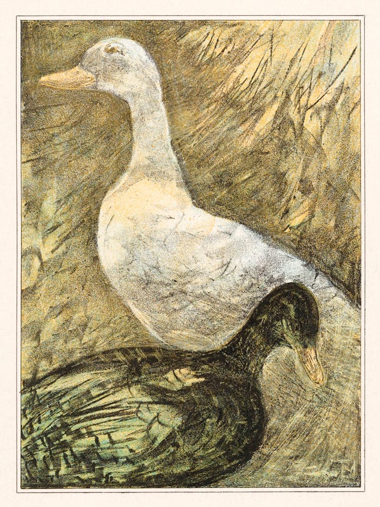 Two Standing Ducks (1878–1909), Theo Van Hoytema