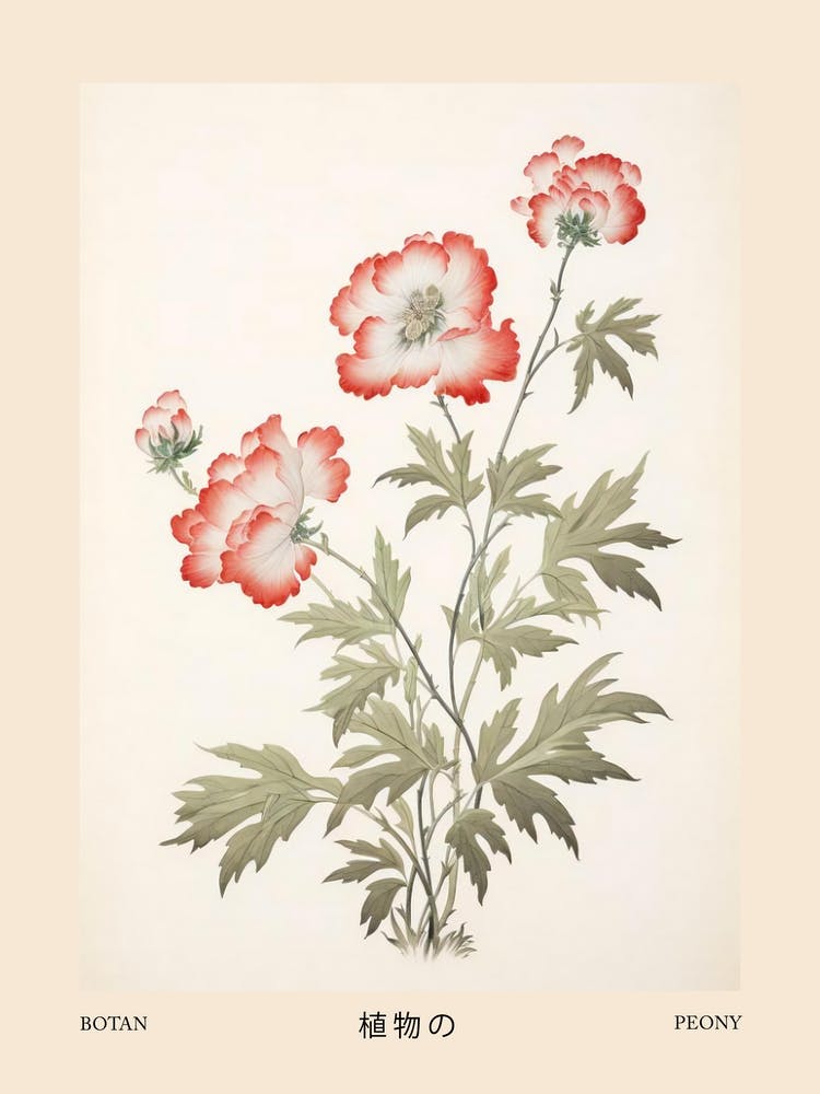 Botan Peony 3 Vintage Japanese Botanical Poster