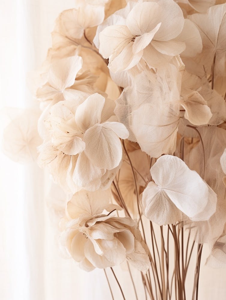 Boho Dried Flowers Hydrangea 3