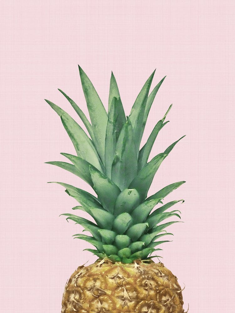 Pineapple II